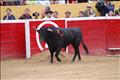 Jose Antonio Pinto (112)